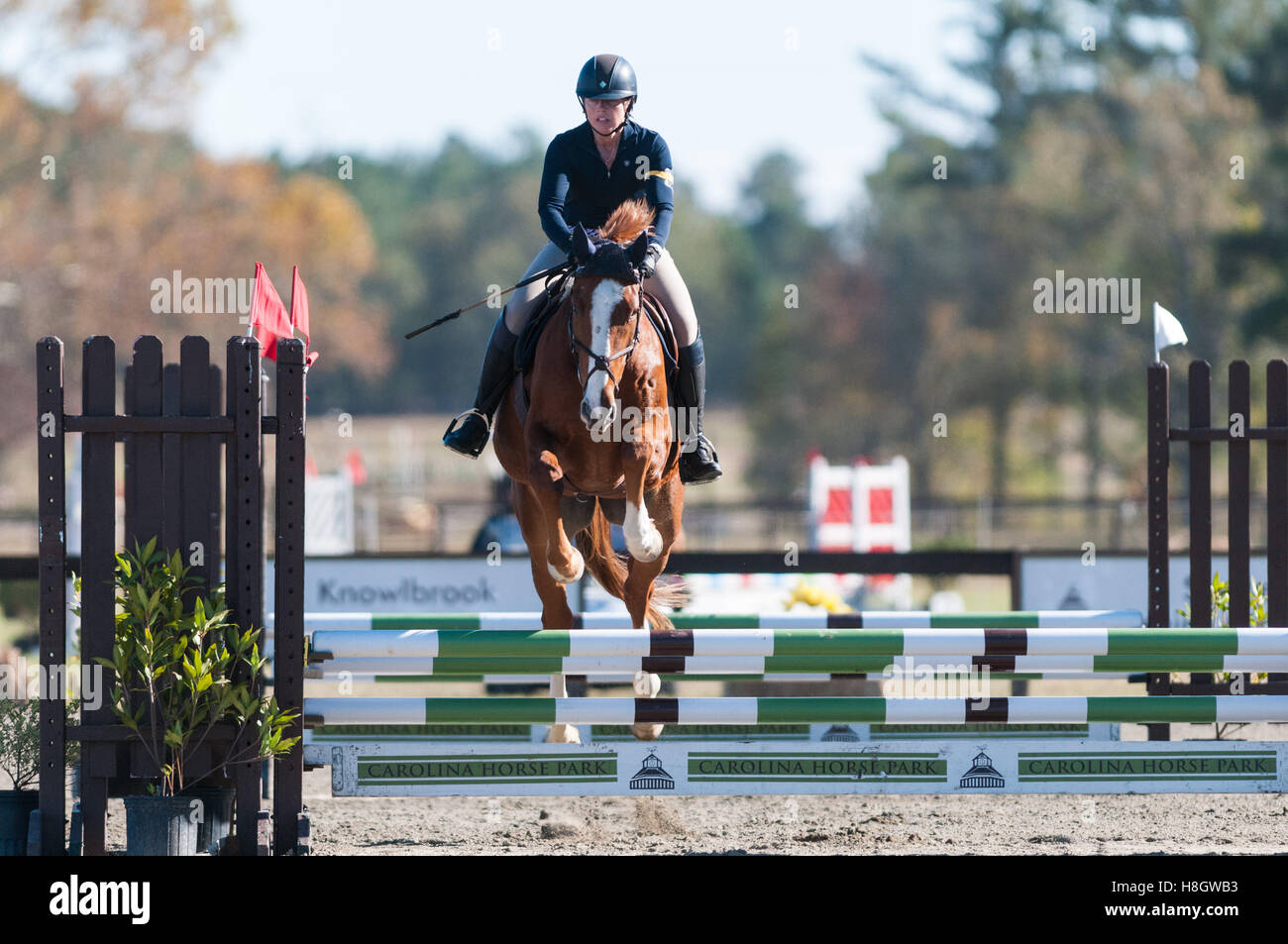 Raeford, North Carolina, US. 11th Nov, 2016. Nov. 12, 2016 Raeford
