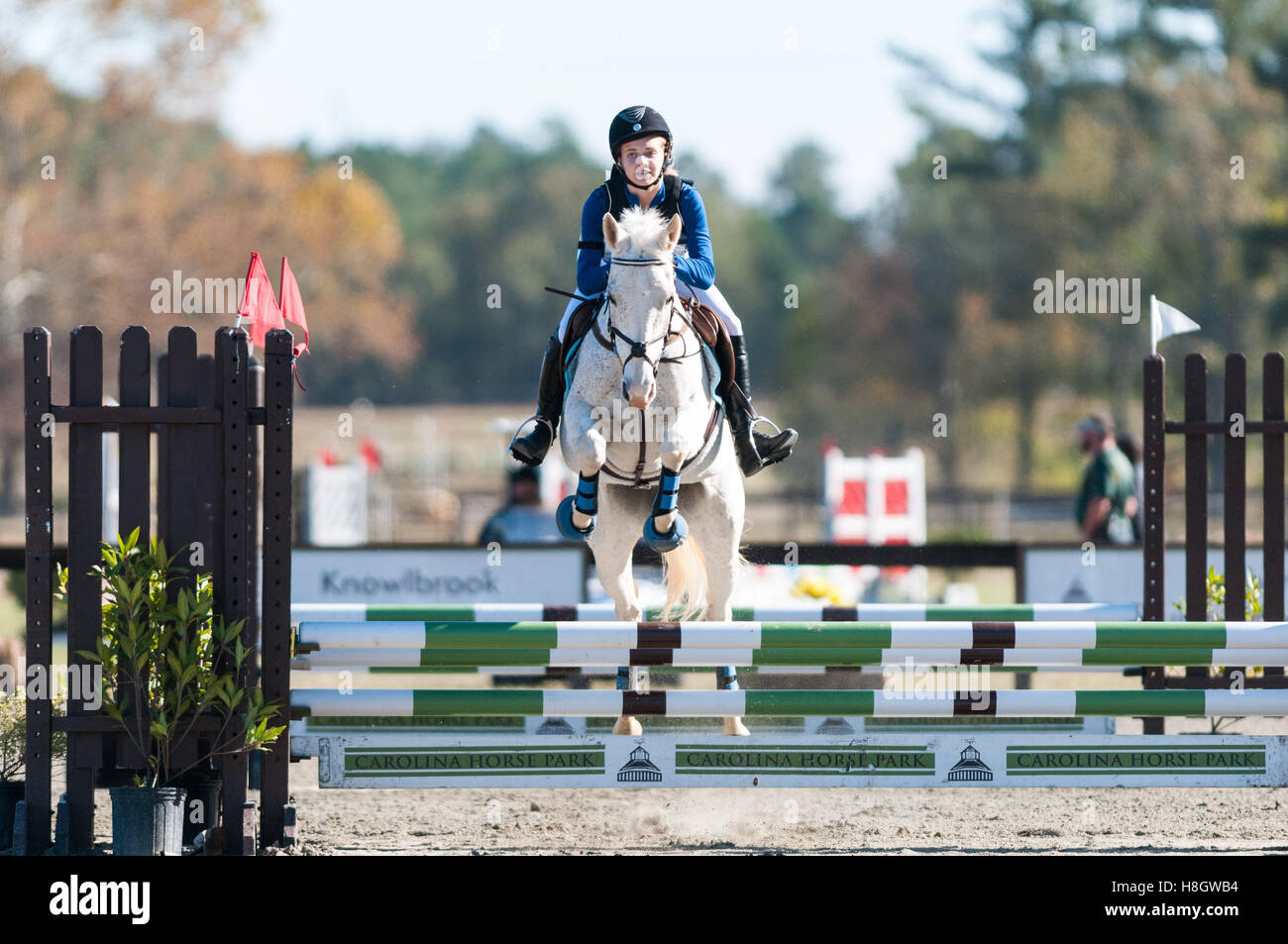 Raeford, North Carolina, US. 11th Nov, 2016. Nov. 12, 2016 Raeford