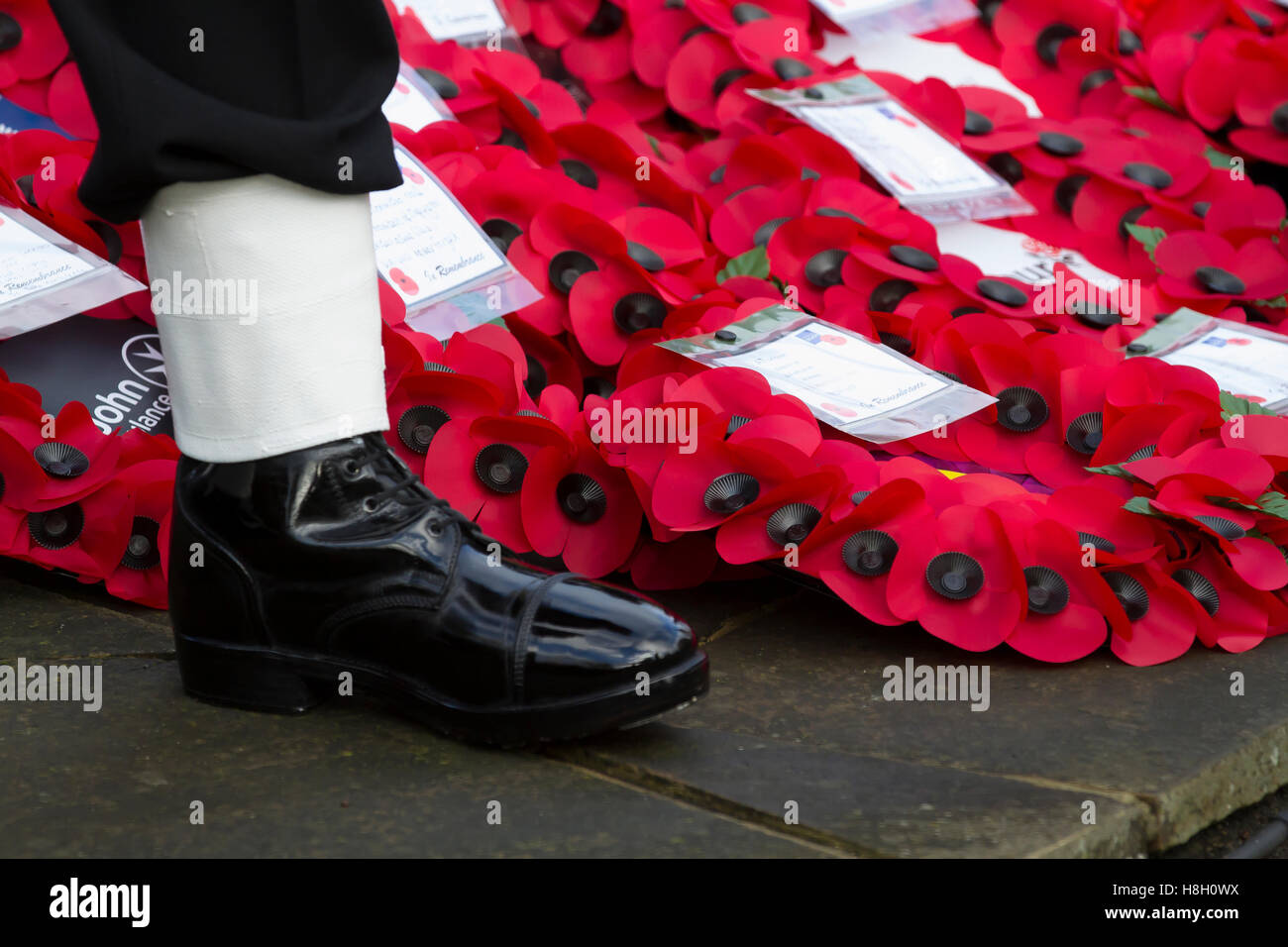 Orpington, UK. 13th November, 2016. A sea cadet stands next to the laid wreaths during the Remembrance Service in Orpington. Credit:  Keith Larby/Alamy Live News Stock Photo
