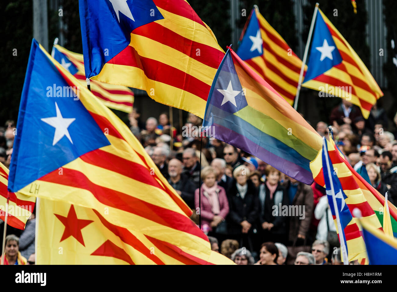 Barcelona, Spain. 13 November, 2016:  Catalan independence flags wave as tens of thousands of pro-independence Catalans gather at Barcelona's Montjuic Fountains to protest legal persecution of Catalan pro-secession politicians and Catalonia Credit:  matthi/Alamy Live News Stock Photo