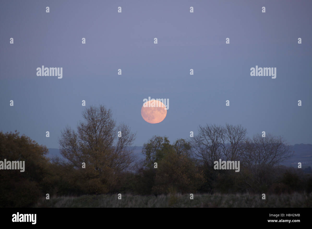 Nearly full Moon rising over distant hills, Oxfordshire, UK, 13 November 2016. On this occasion the Moon was close to perigee and was larger than average. The record 'supermoon' was due the next day. Rippling in the edge of the Moon is caused by layers in Earth's atmosphere. Credit Robin Scagell/Galaxy/Alamy Live News Stock Photo
