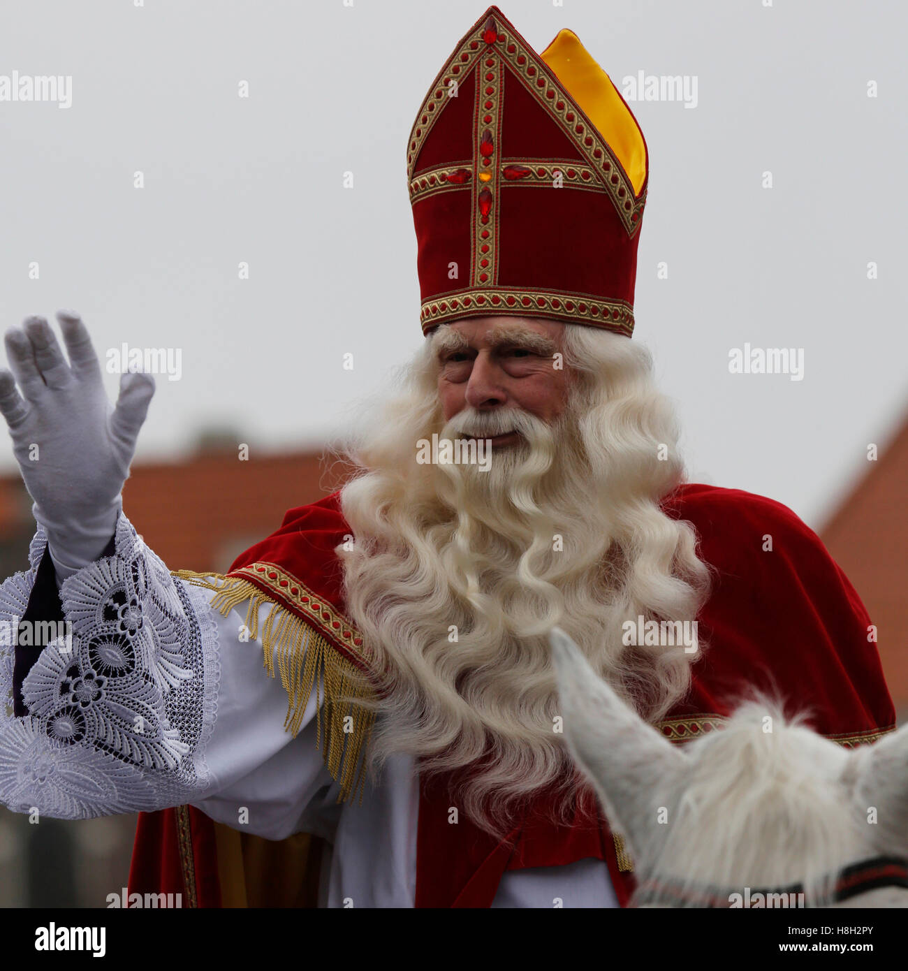 Sinterklaas netherlands horse hi-res stock photography and images - Alamy