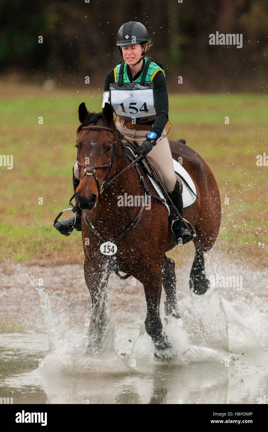 Raeford, North Carolina, US. 13th Nov, 2016. Nov. 13, 2016 Raeford
