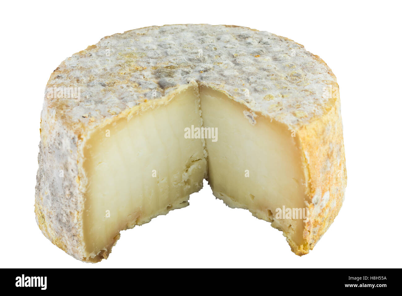 The form of hard cheese of a bloomy rind goat's milk, frost crust, treatment through special mold of the genus Penicillium, such Stock Photo