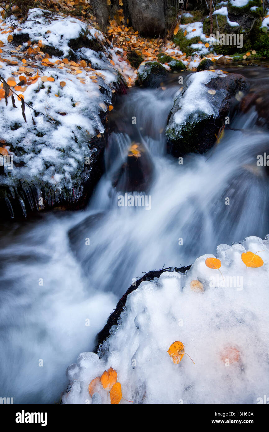 Falling Rocks Snow Rocks snow and fallen leaves hi-res stock photography and images - Alamy