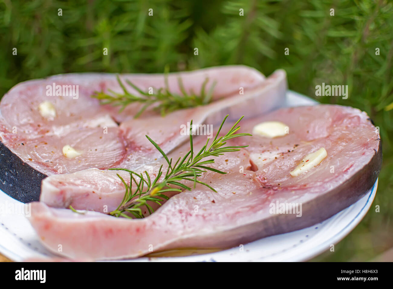 Fresh Swordfish Steak Seasoned with Garlic, Rosemary and Spices Stock