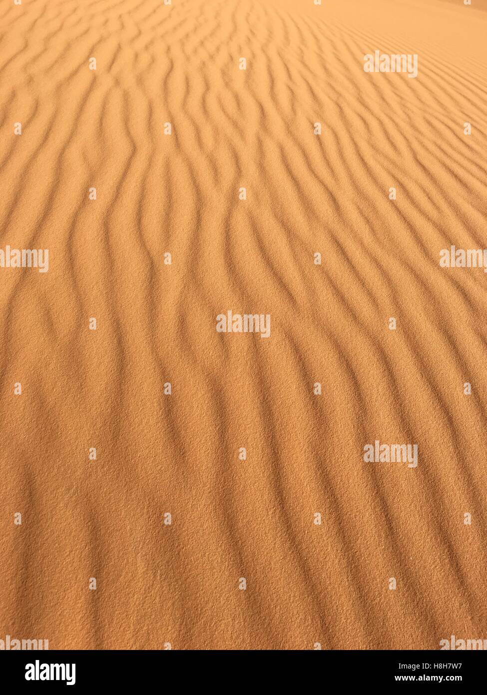 Unlimited empty desert panorama of North Africa Bechar Algeria, sandy Taghit desert Stock Photo