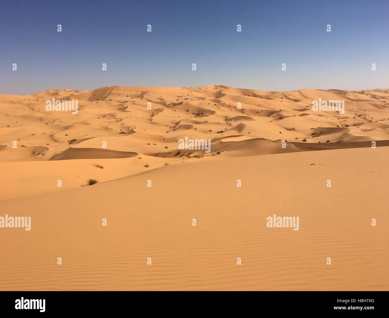 Unlimited empty desert panorama of North Africa Bechar Algeria, sandy Taghit desert Stock Photo