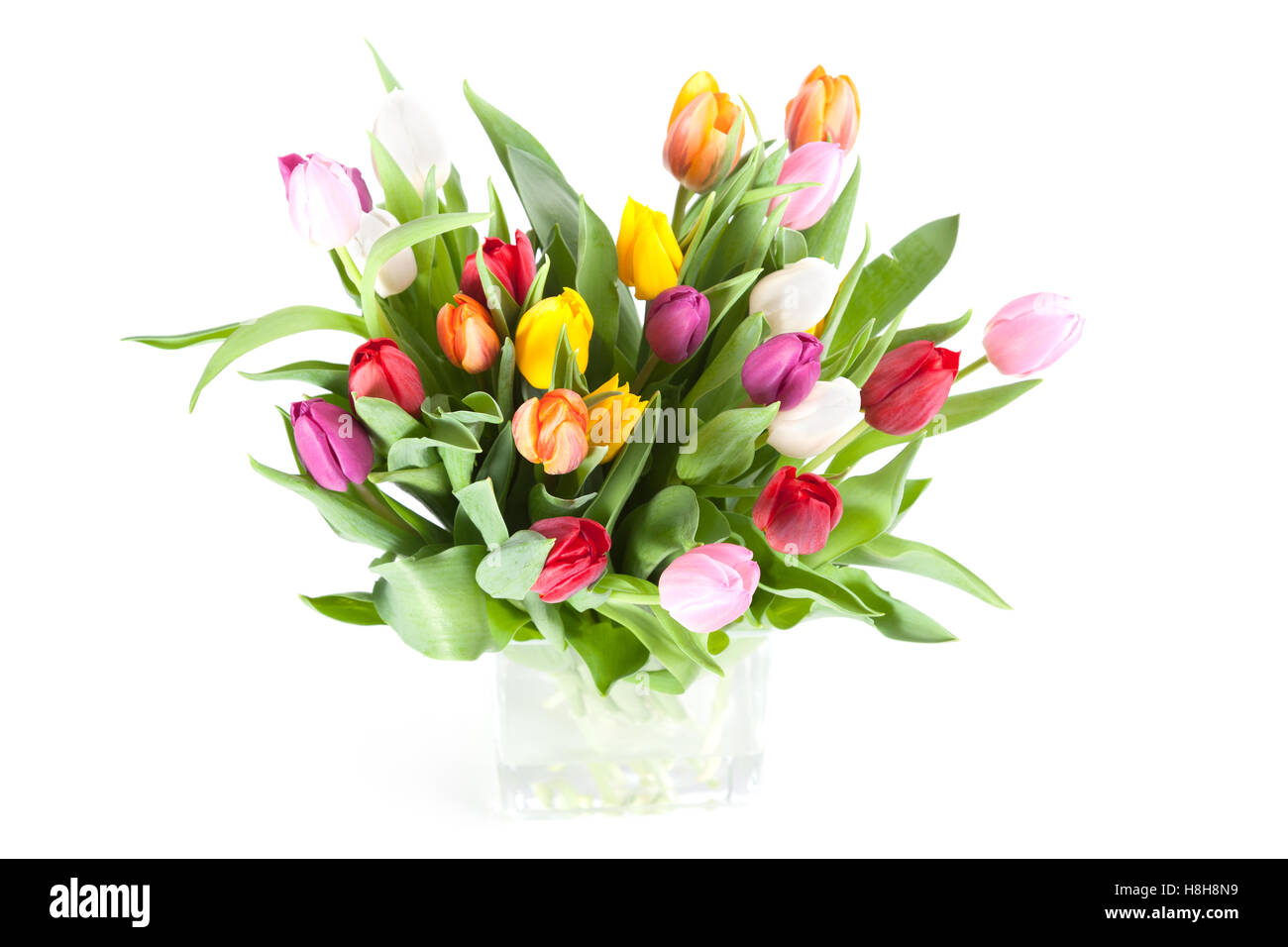 Colourful tulips in a vase isolated on a white background Stock Photo ...