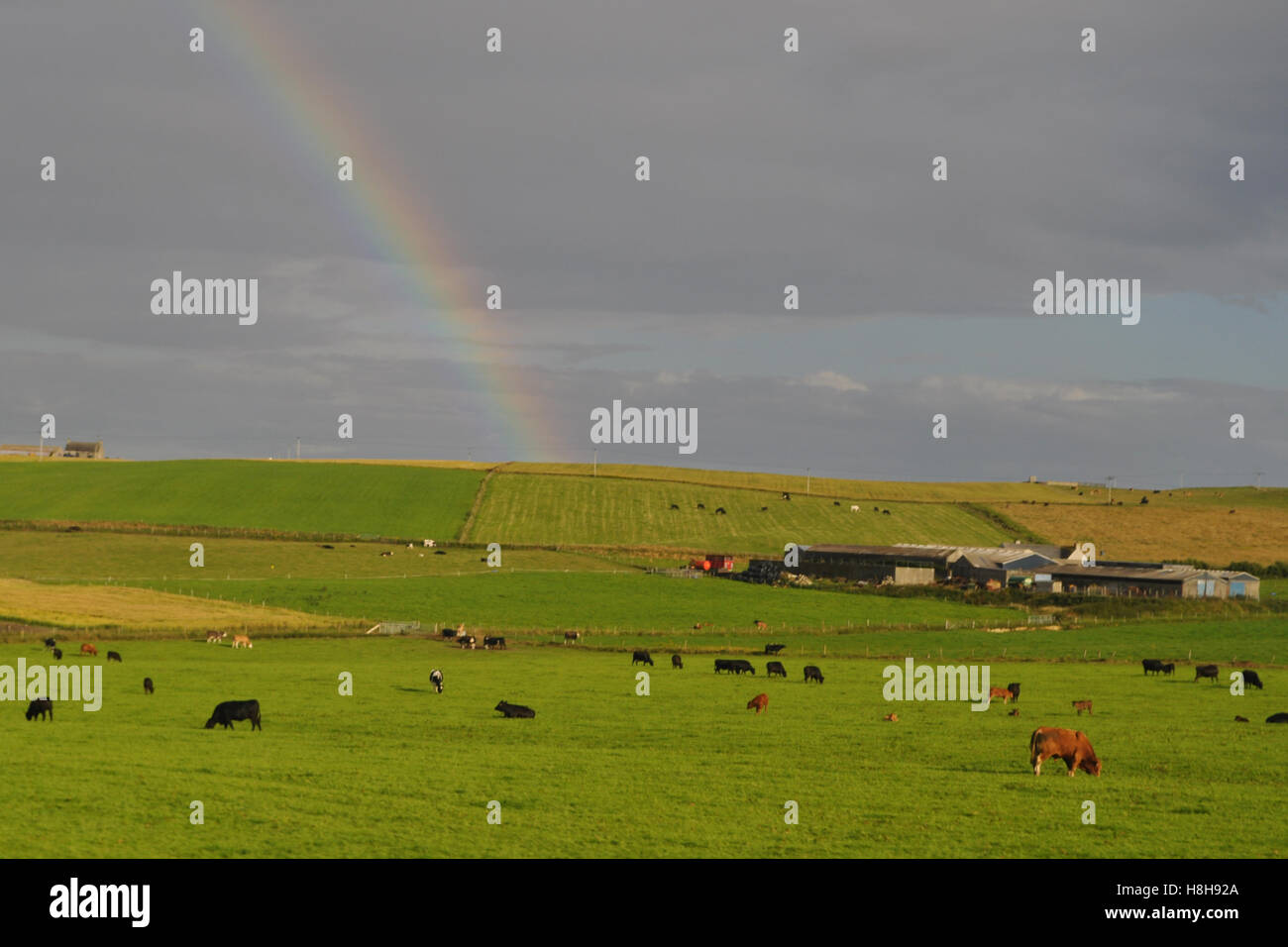 Rainbow over Orkney farmland Stock Photo