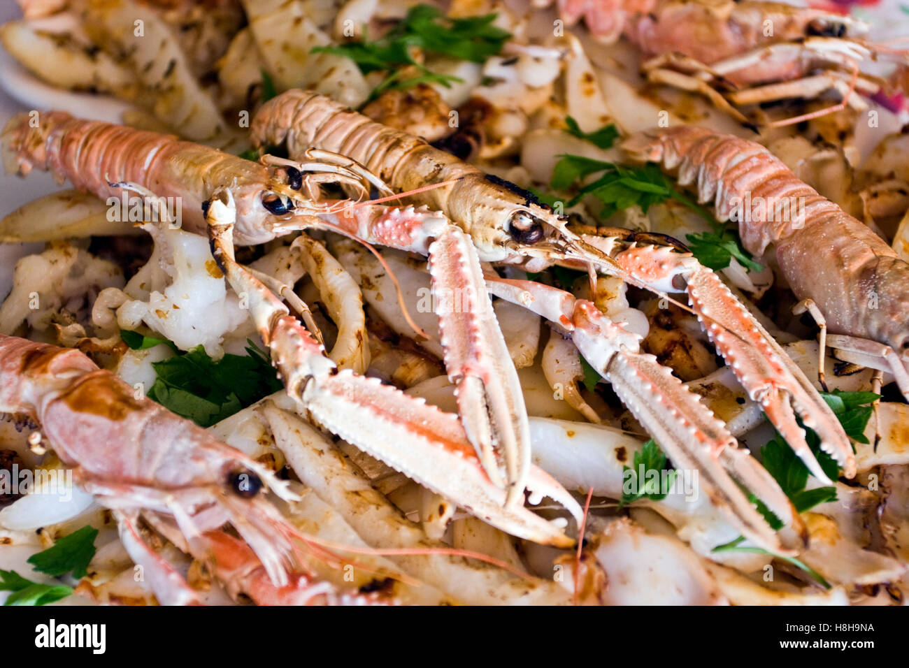 Char-grilled shrimp and cuttle fish salad Stock Photo