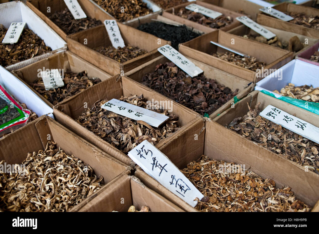 Dried mushrooms, Chinese market Stock Photo Alamy