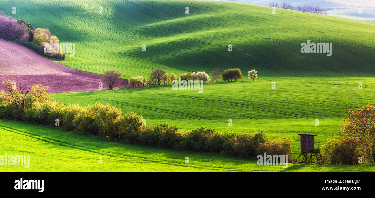 Spring landscape with agricultural fields, farming background Stock ...