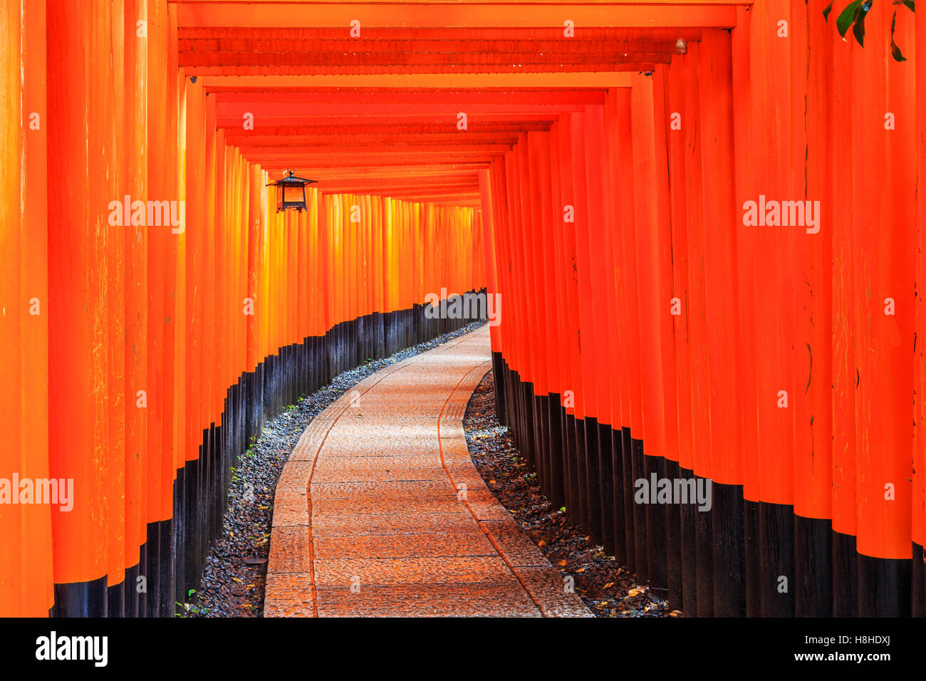 Kyoto, Japan. The gates in the Fushimi Inari shrine. Stock Photo