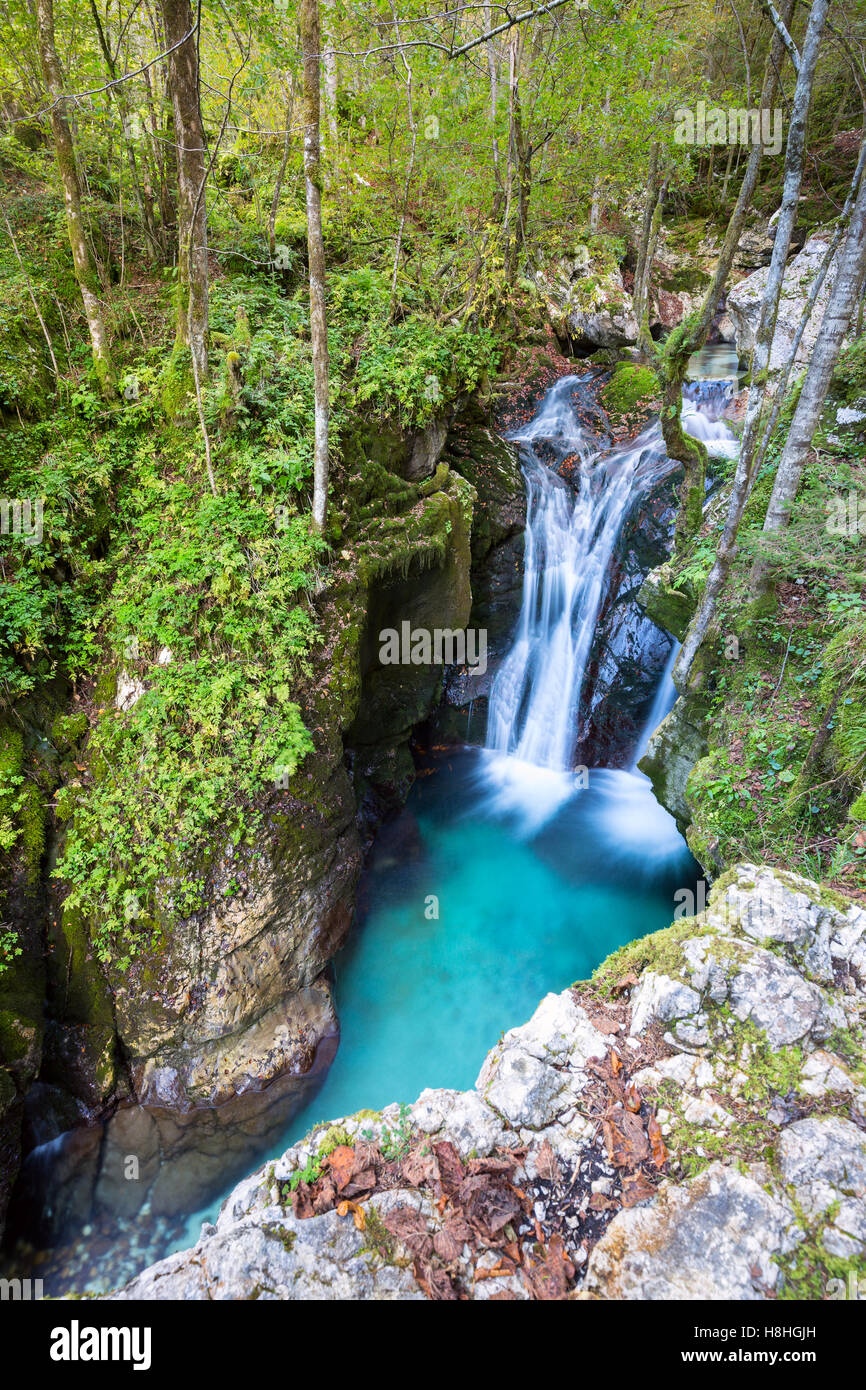 Mountain creek autumn in the Lepena valley in Slovenia Stock Photo