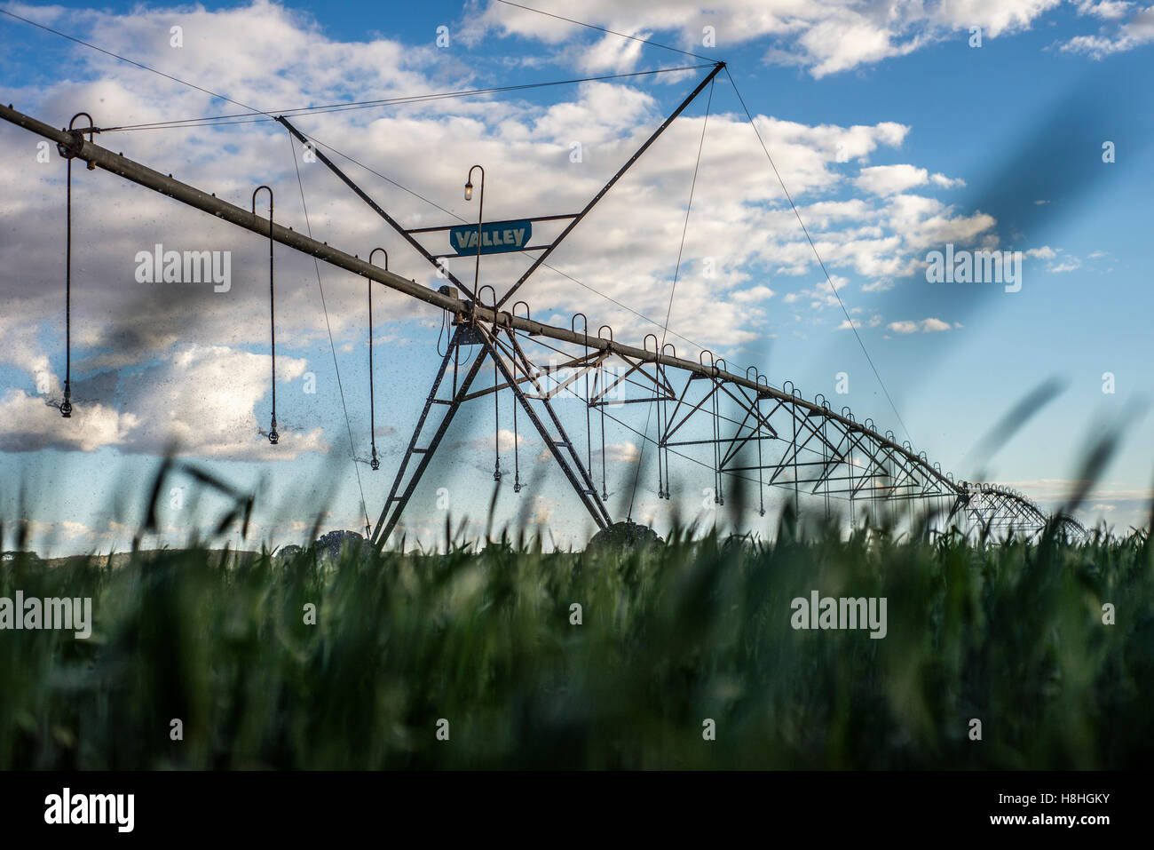 Modern lusaka hires stock photography and images Alamy