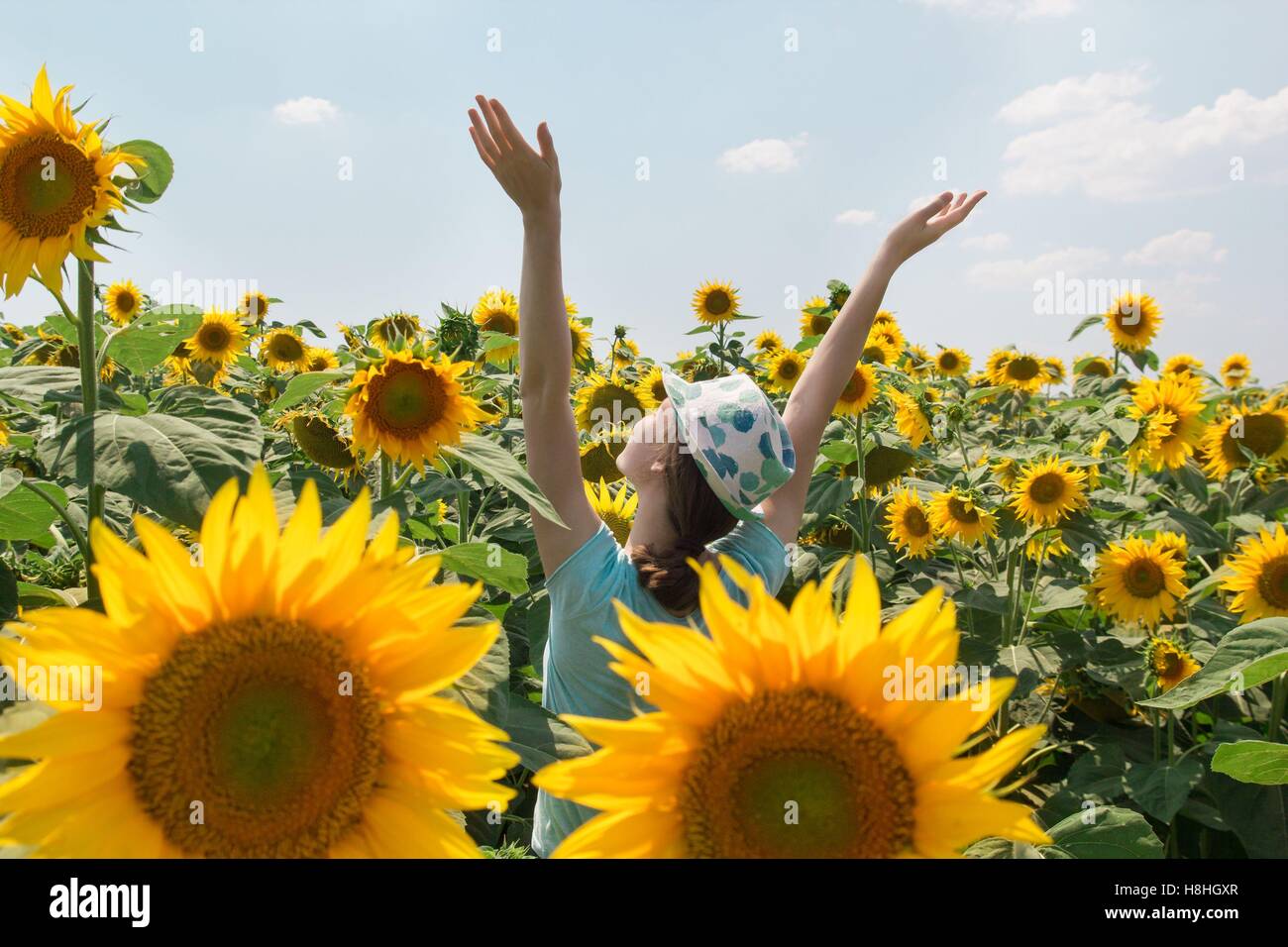 Happy young woman in sunflower field Stock Photo - Alamy