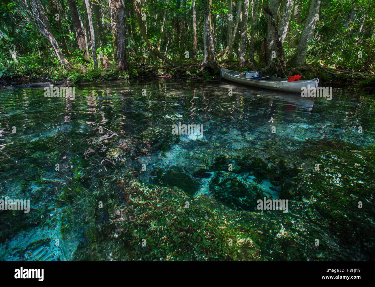 CHASSAHOWITZKA RIVER SPRING, Chassahowitzka National Wildlife Refuge