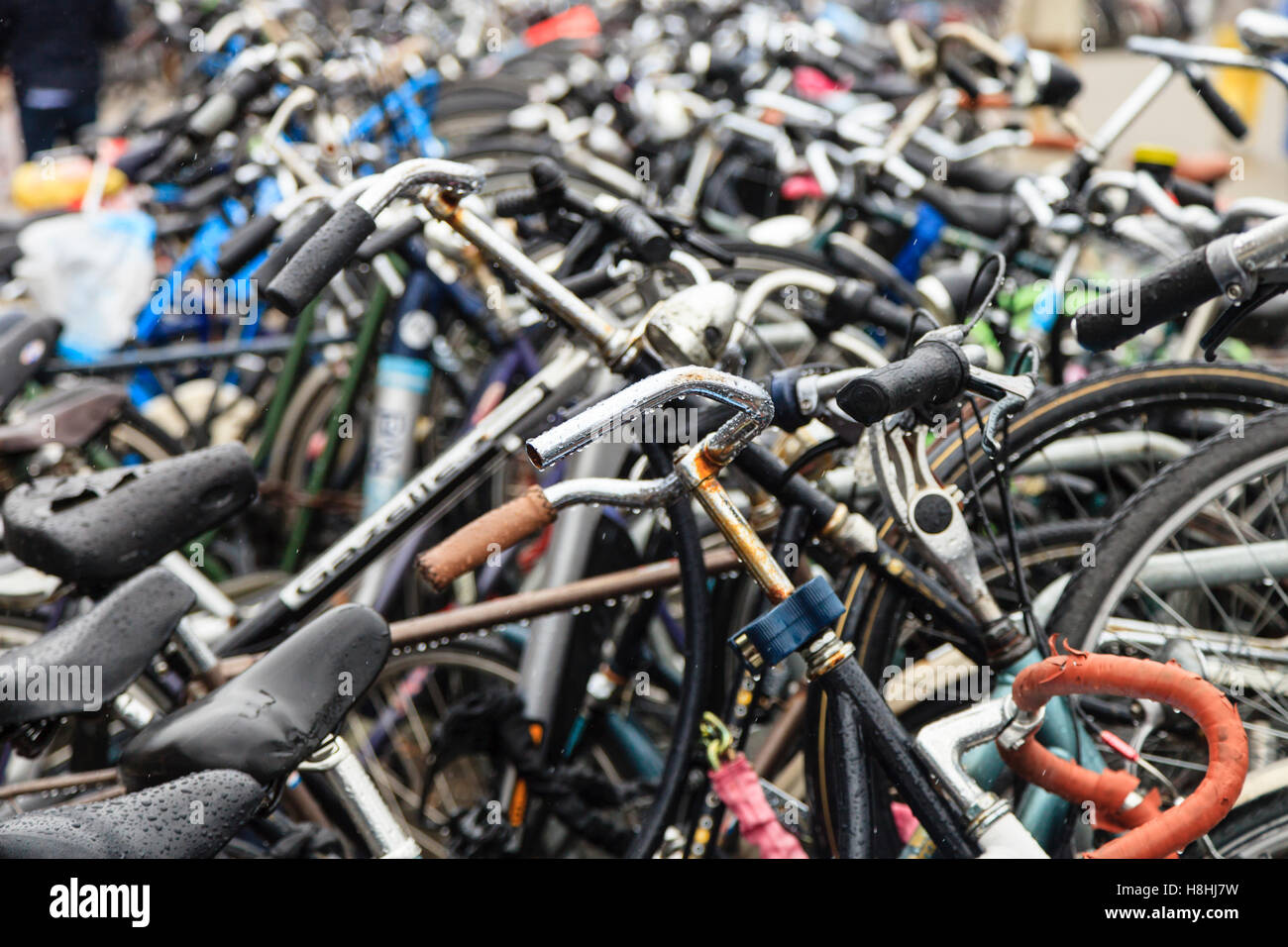 Bike racks in Amsterdam Stock Photo Alamy