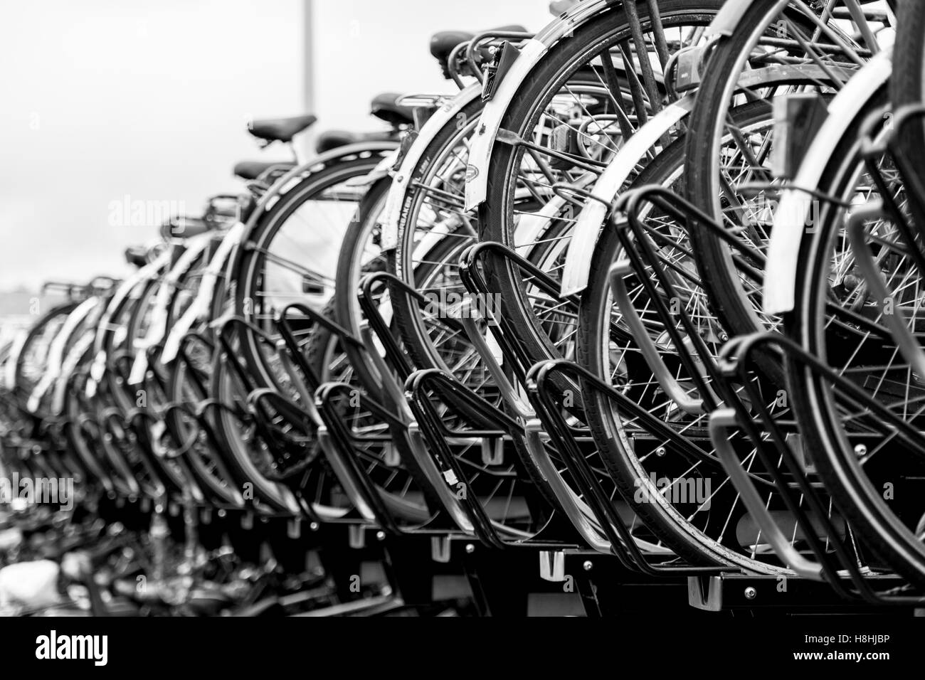Bike racks in Amsterdam. Stock Photo