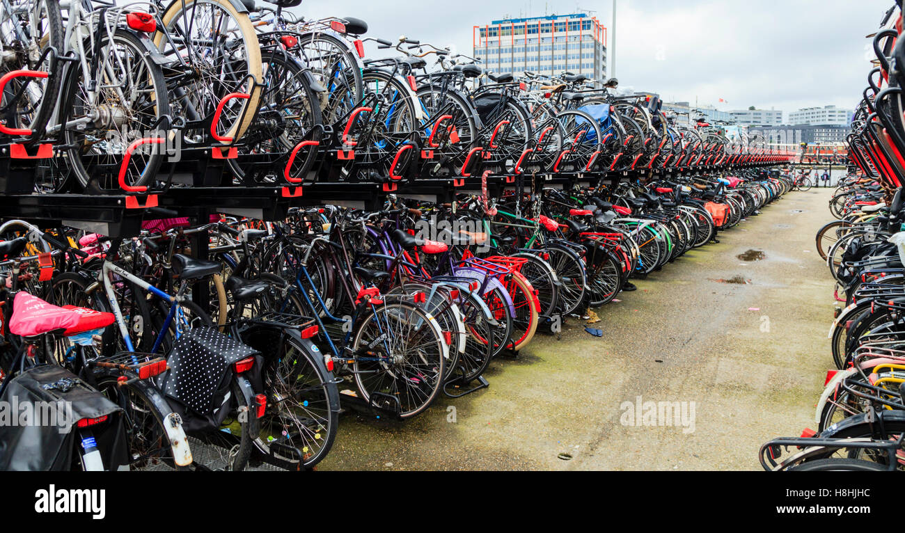 Bike racks in Amsterdam Stock Photo Alamy
