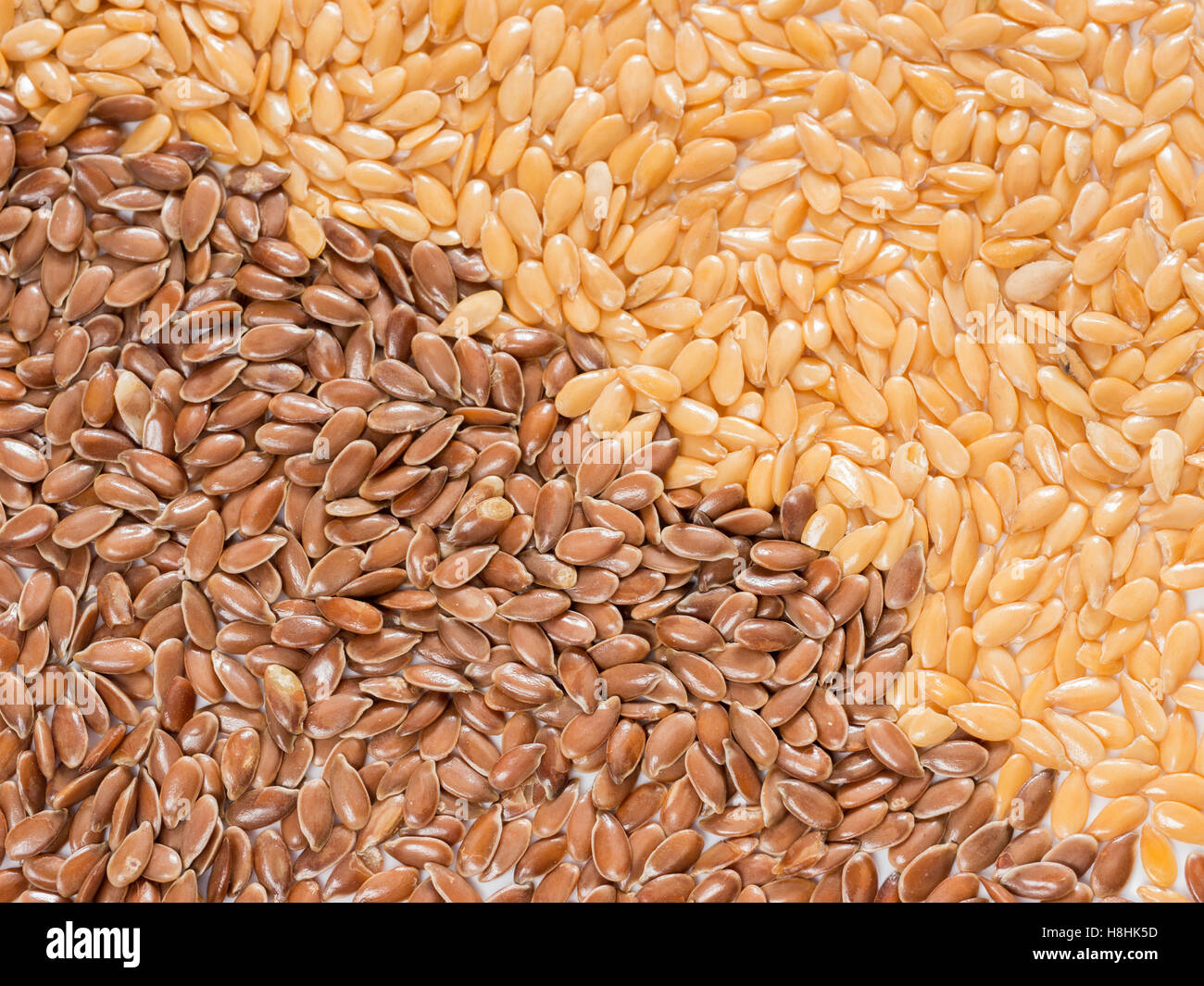 льна семена 200г (пакет). лен золотистый и коричневый разница. семена белого льна. семена льна (вес-200 г). лен белый коричневый.