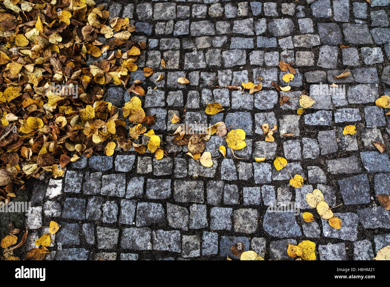 Podebrady, Autumn leaves on stone pavement Stock Photo