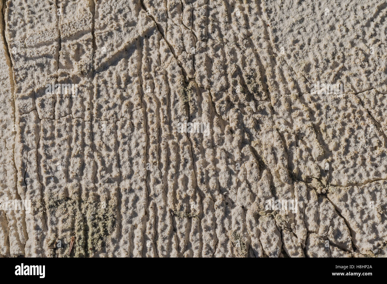 Rough surface hi-res stock photography and images - Alamy