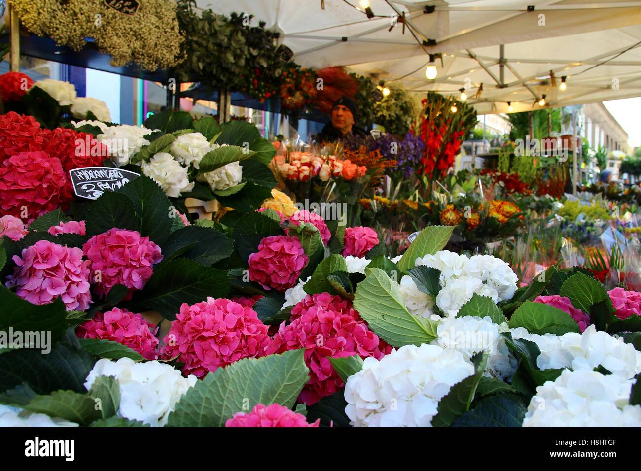 The Columbia Road Flower Market 4/8 Stock Photo