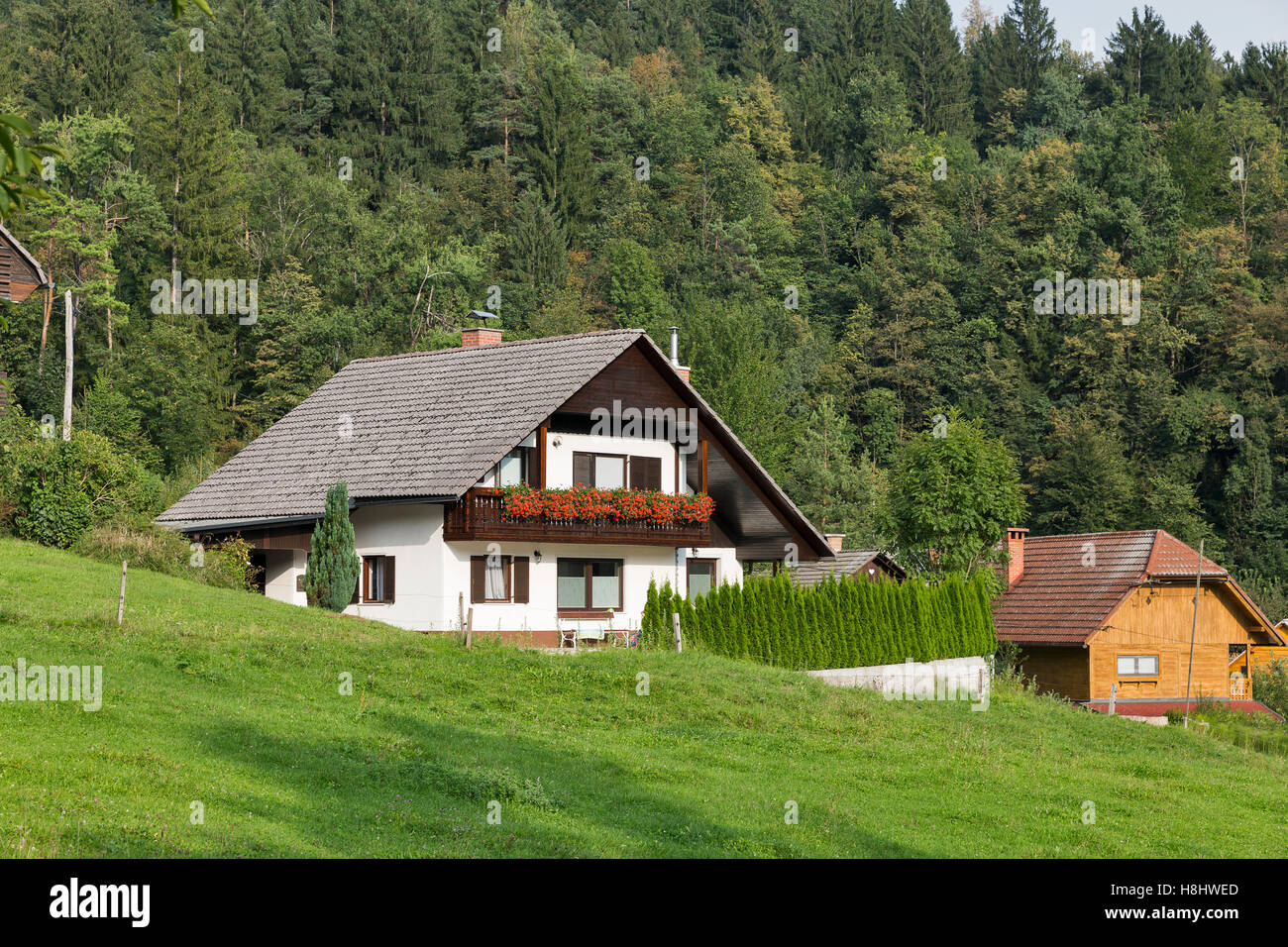 Traditional residential houses in Slovenian Alps Stock Photo Alamy