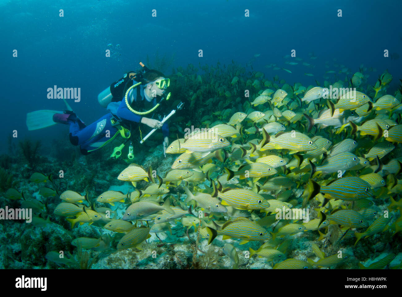 Teenage boy SCUBA diving at Molasses Reef off Key Largo Florida through