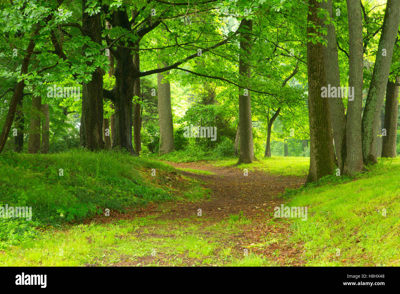 Continental Lane trail, Washington Crossing Historic Park, New Jersey