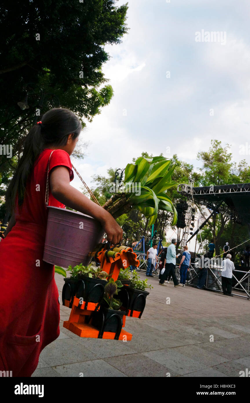 The Coyoacán neighborhood of Mexico City, Mexico. Child selling flowers to tourists Stock Photo
