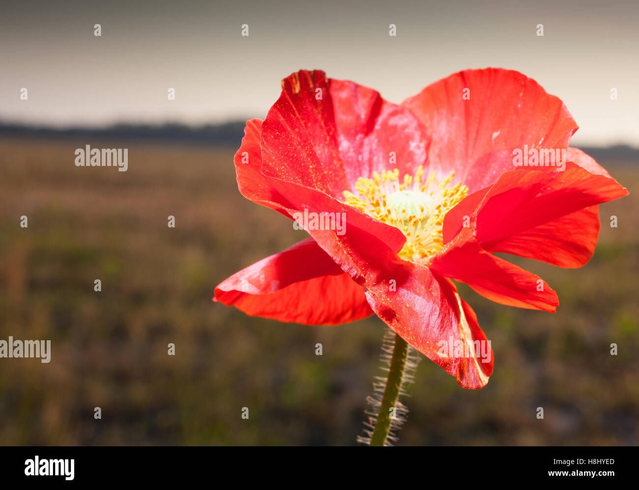 We are still open hires stock photography and images Alamy