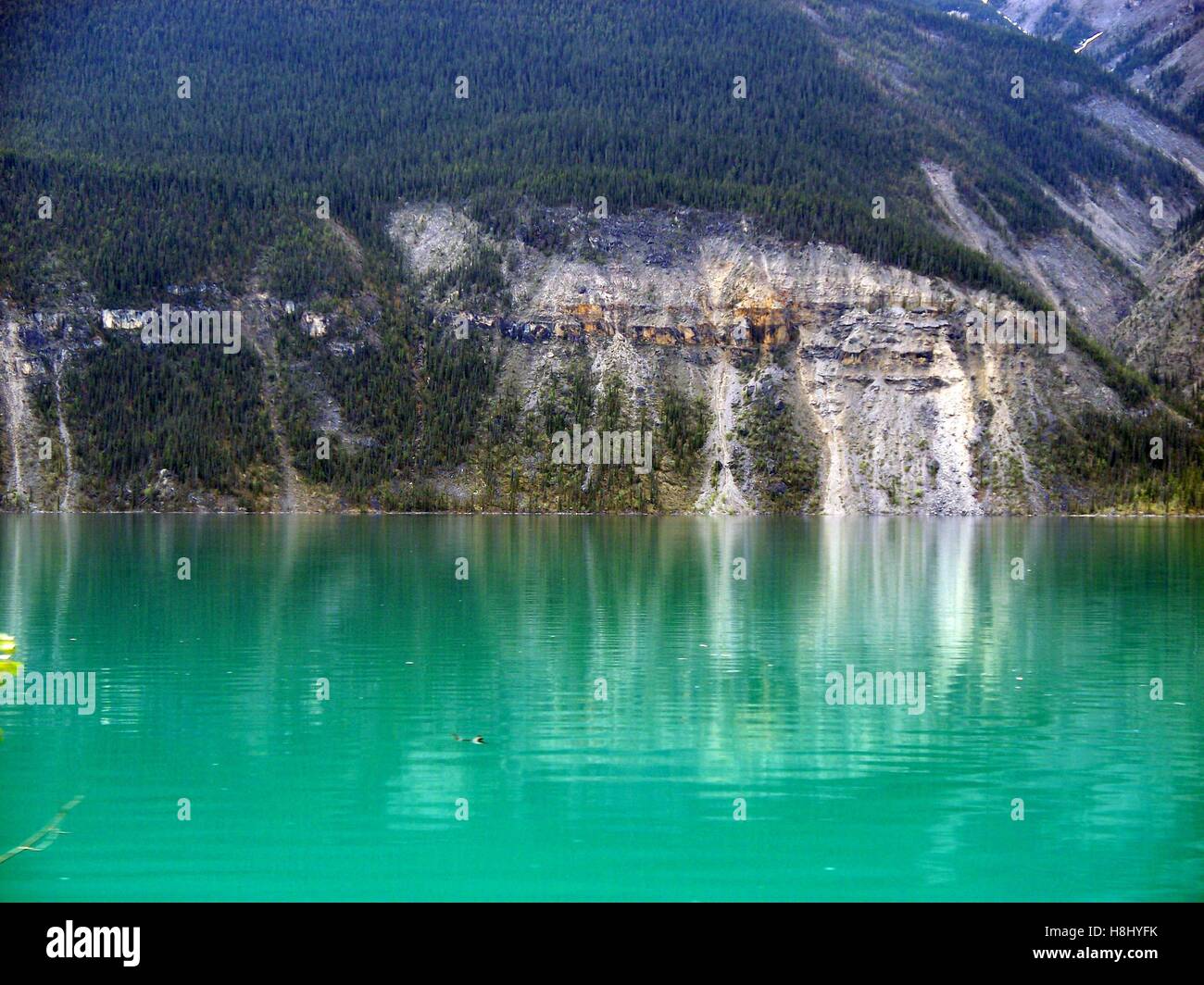 Rocky Mountainside Reflecting in Muncho Lake, British Columbia, Canada Stock Photo Alamy