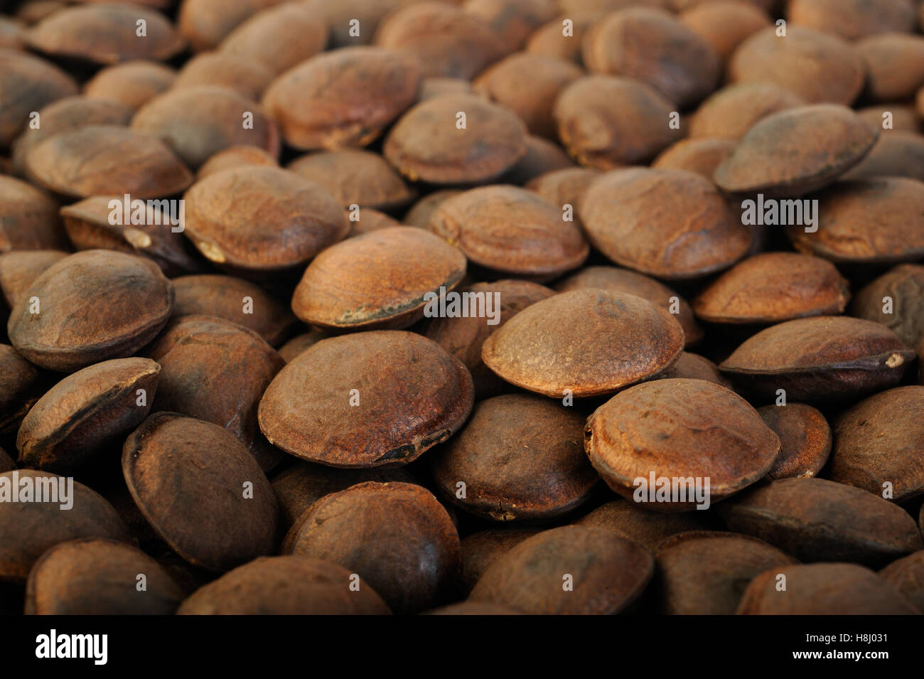 roasted sacha inchi seeds background Stock Photo