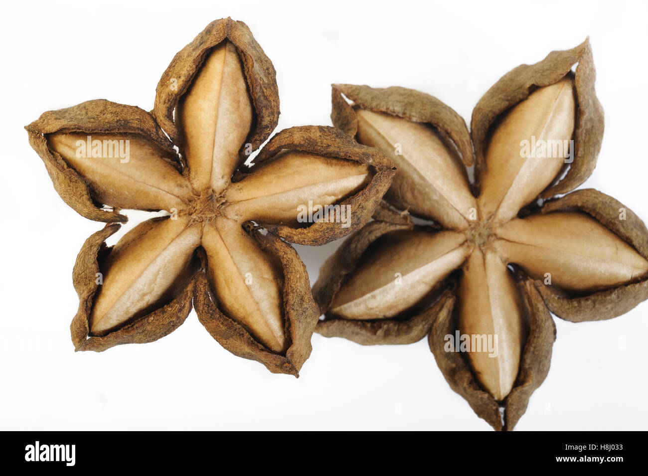 dried sacha inchi on white background Stock Photo
