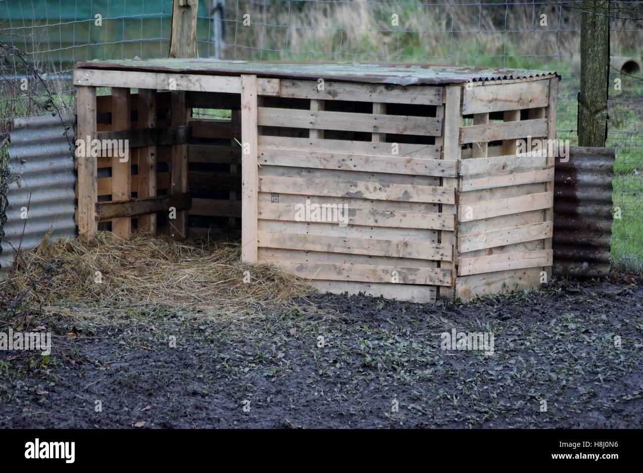 Goose hut made from pallets Stock Photo Alamy