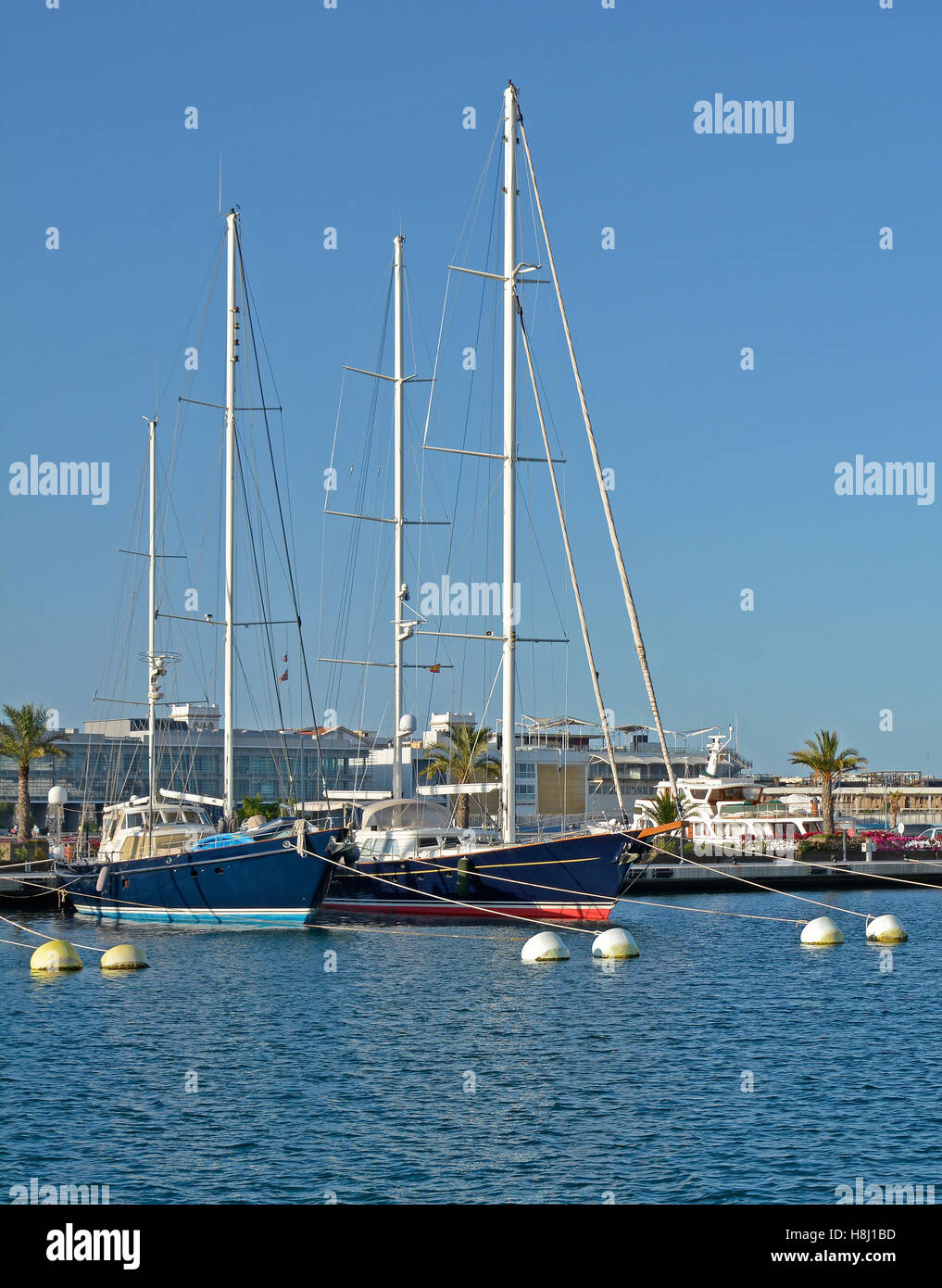 Moored yachts in the marina at Valencia, Spain Stock Photo - Alamy