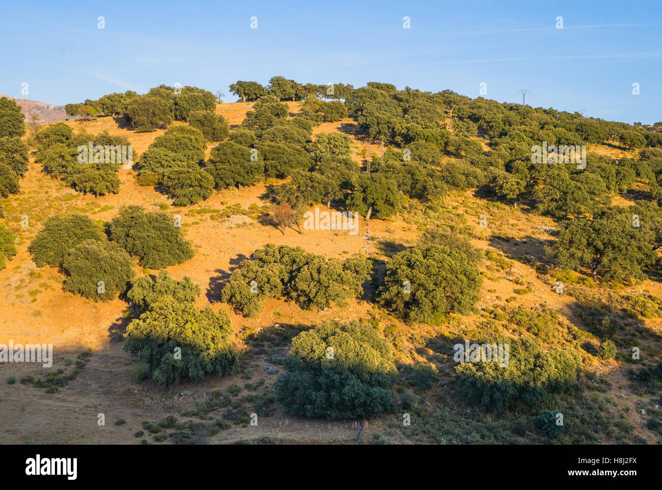 Andalusia Stock Photo