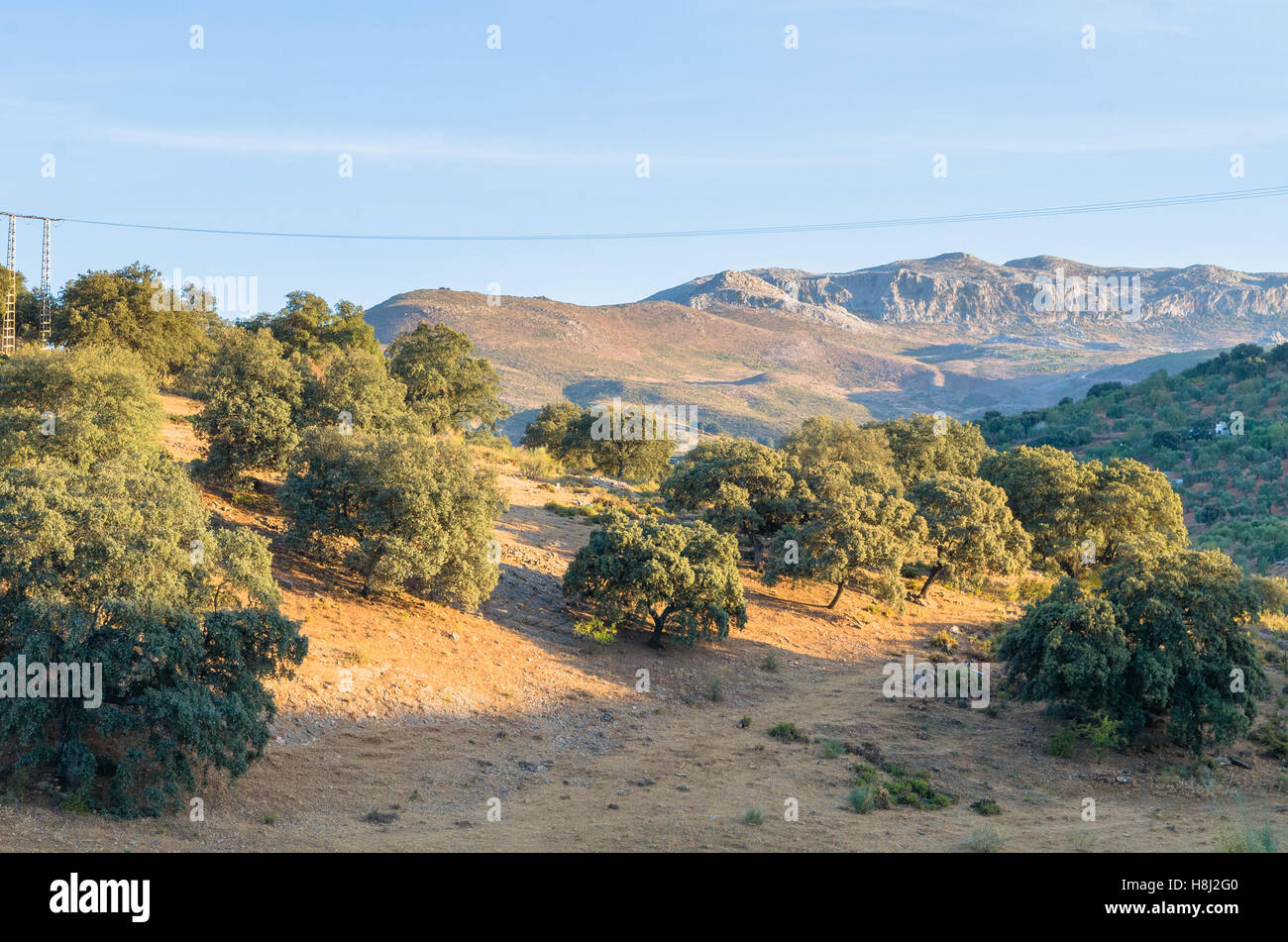 Andalusia Stock Photo