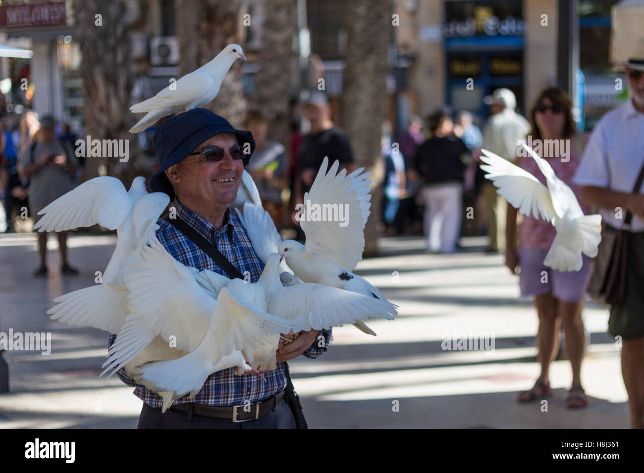 Benidorm, Alicante Province, Spain, Europe, elderly man with pigeon on his head Stock Photo