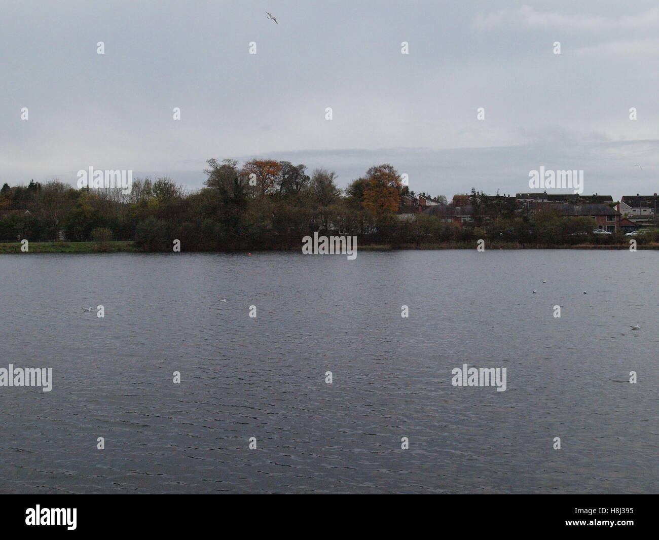 Mossley Mill Newtownabbey Stock Photo Alamy