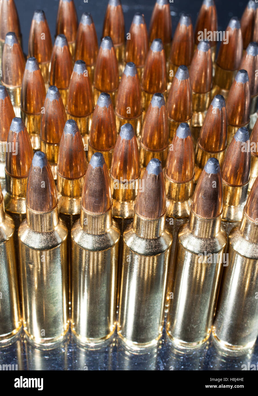 Cartridges that are long for extra gun powder capacity Stock Photo Alamy