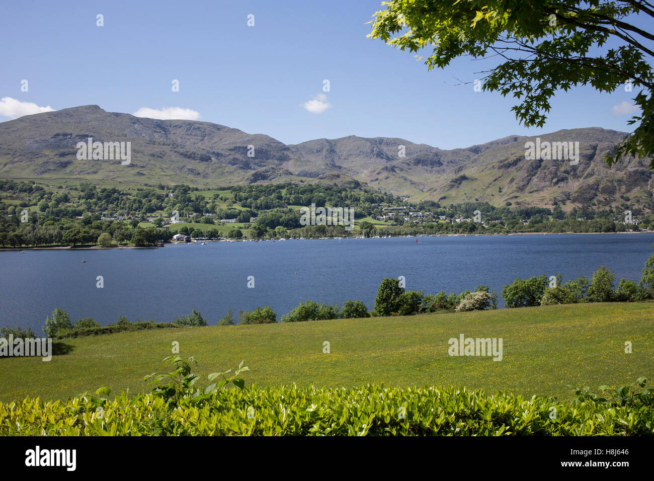 Lake Coniston, and Coniston Old Man, viewed from Brantwood, home of John Ruskin in the English Lake District Stock Photo