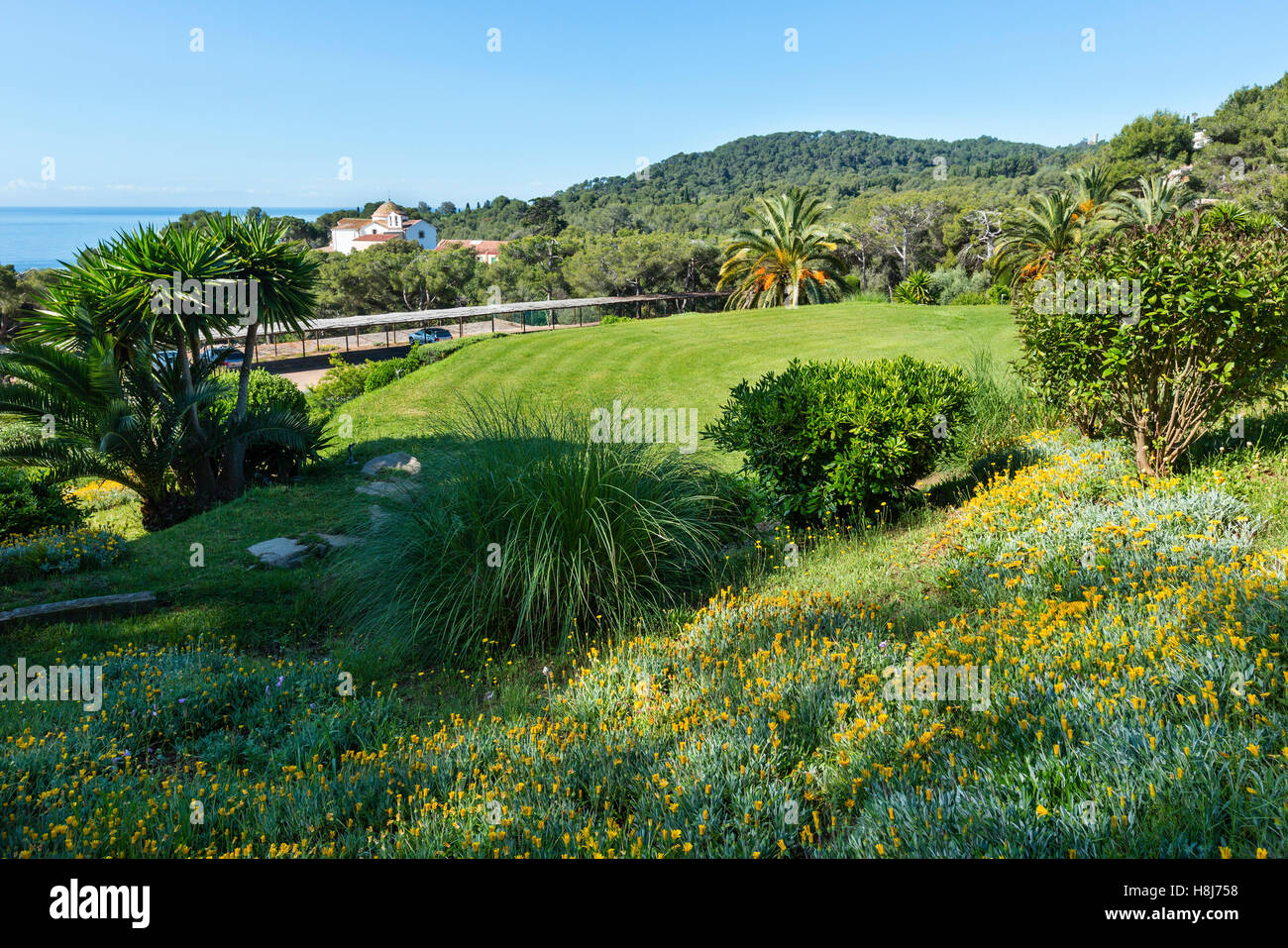 Summer sea coast view with yellow flowers, blossoming palm trees and church. Stock Photo