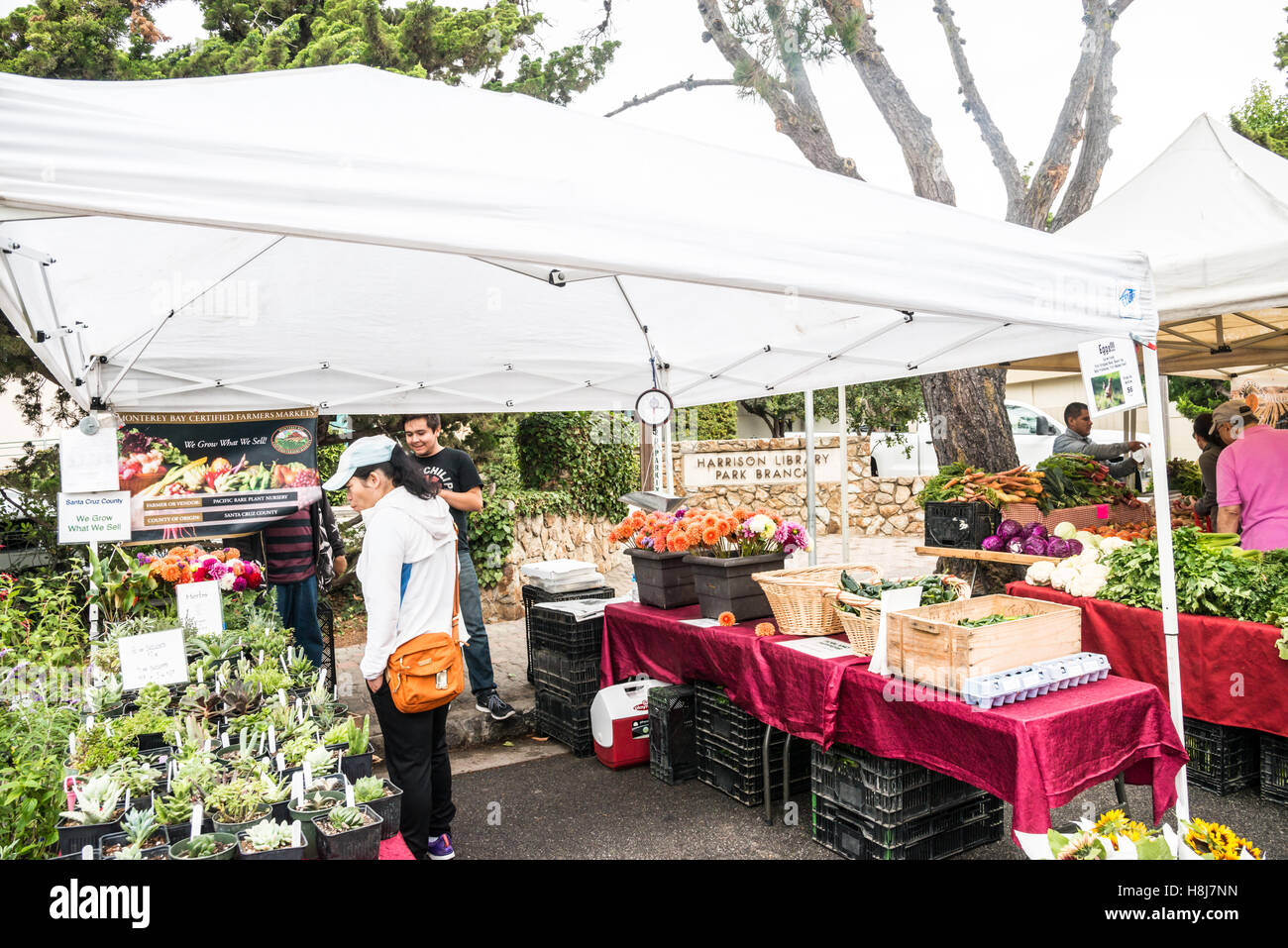 Street Farmers Market Carmel California Stock Photo Alamy