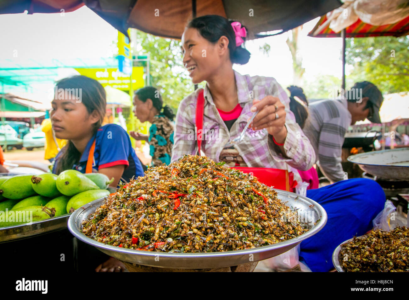 Insect, ant, Food Market, Koh Chen, Cambodia Stock Photo - Alamy