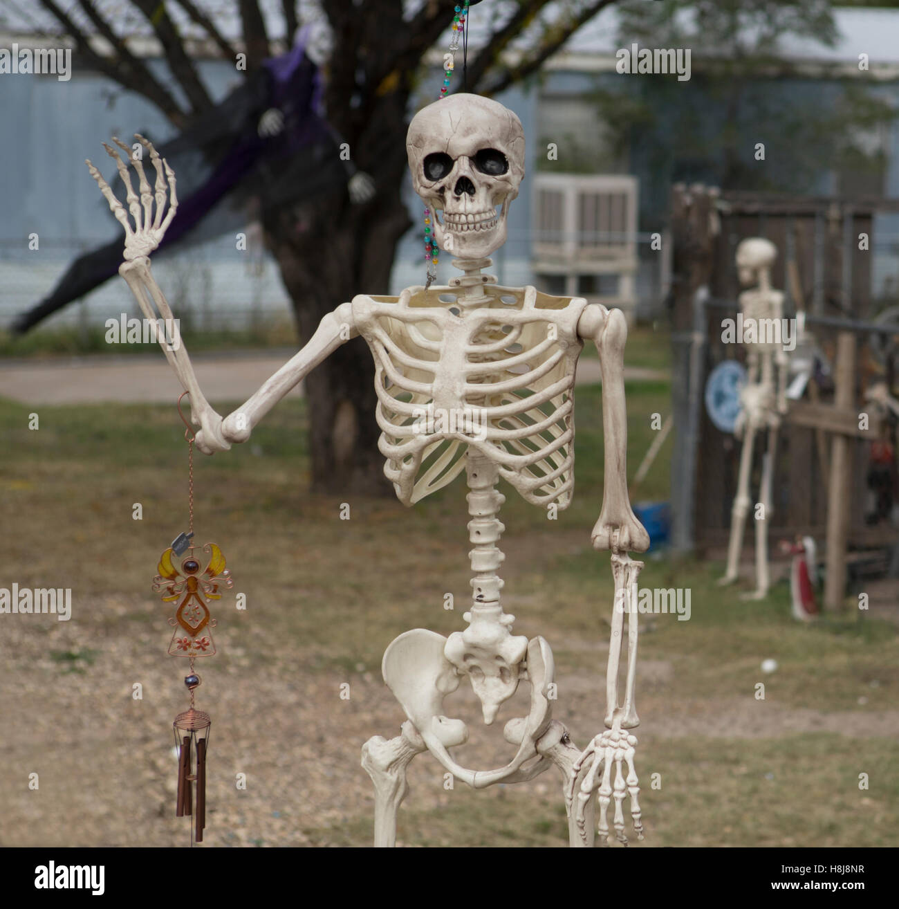 Skeleton used as decorations for Halloween in a small West Texas Town. Stock Photo