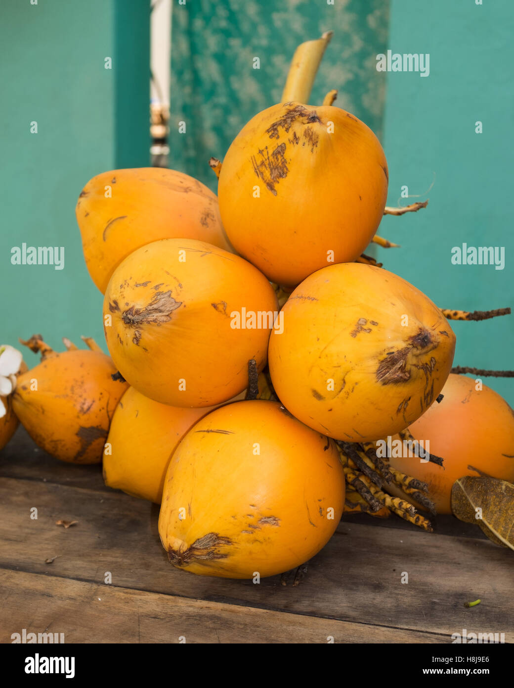 fresh coconuts on display on a table,Sri Lanka, Stock Photo
